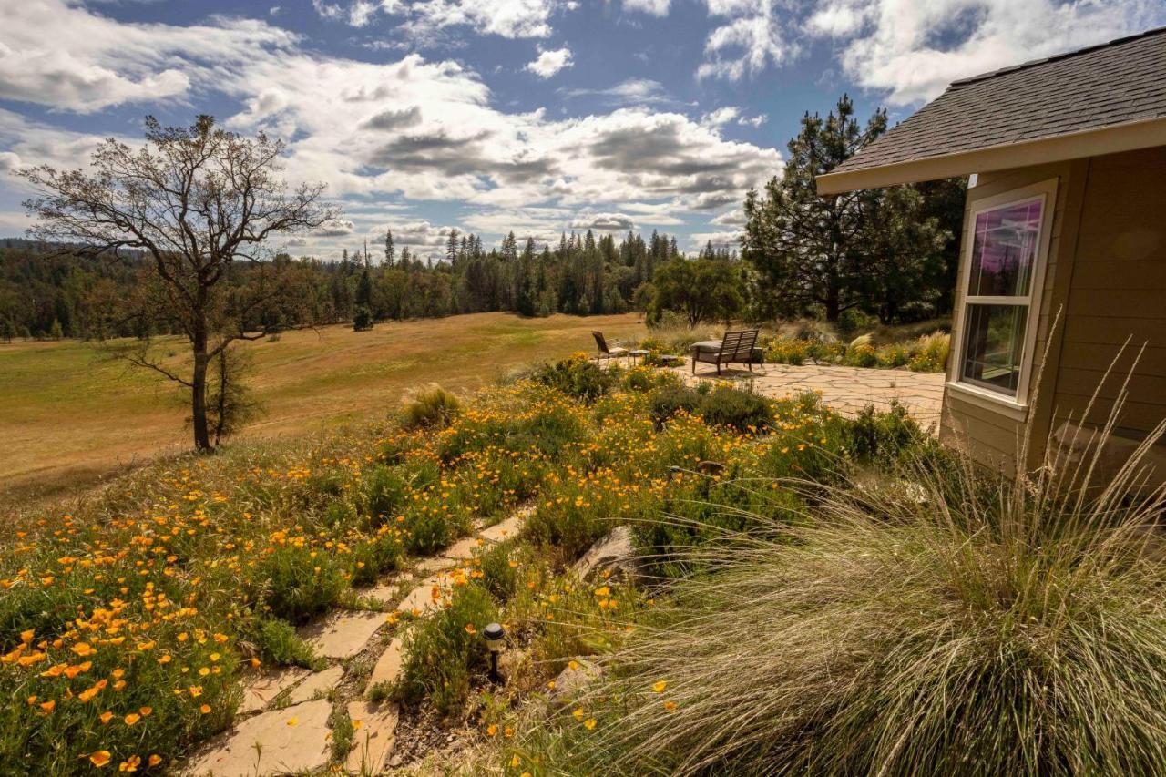 Red Tail Ranch Bed & Breakfast Groveland Exterior photo