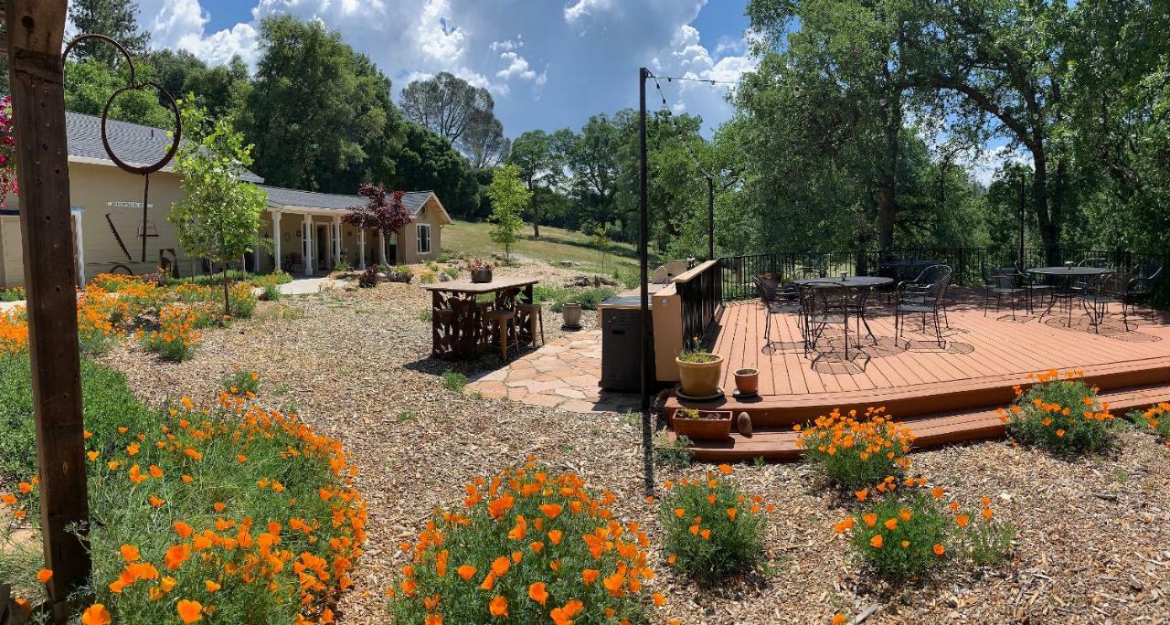 Red Tail Ranch Bed & Breakfast Groveland Exterior photo